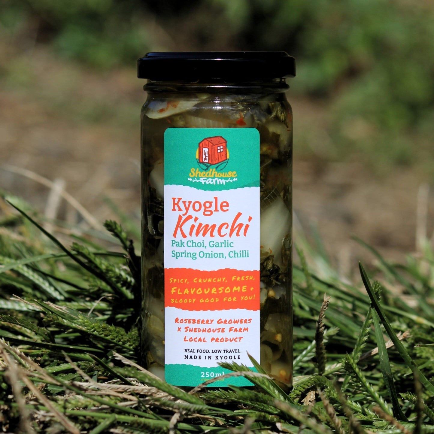 Kyogle Kimchi - Shedhouse Farm
